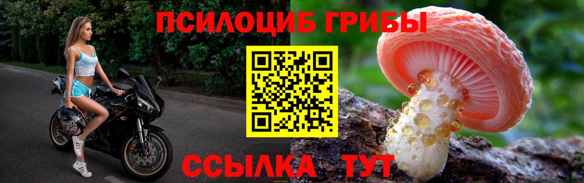 Псилоцибиновые грибы MAGIC MUSHROOMS Ликино-Дулёво